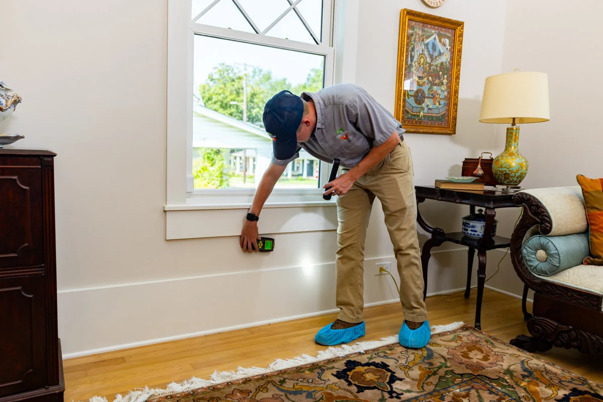 Pest Inspections